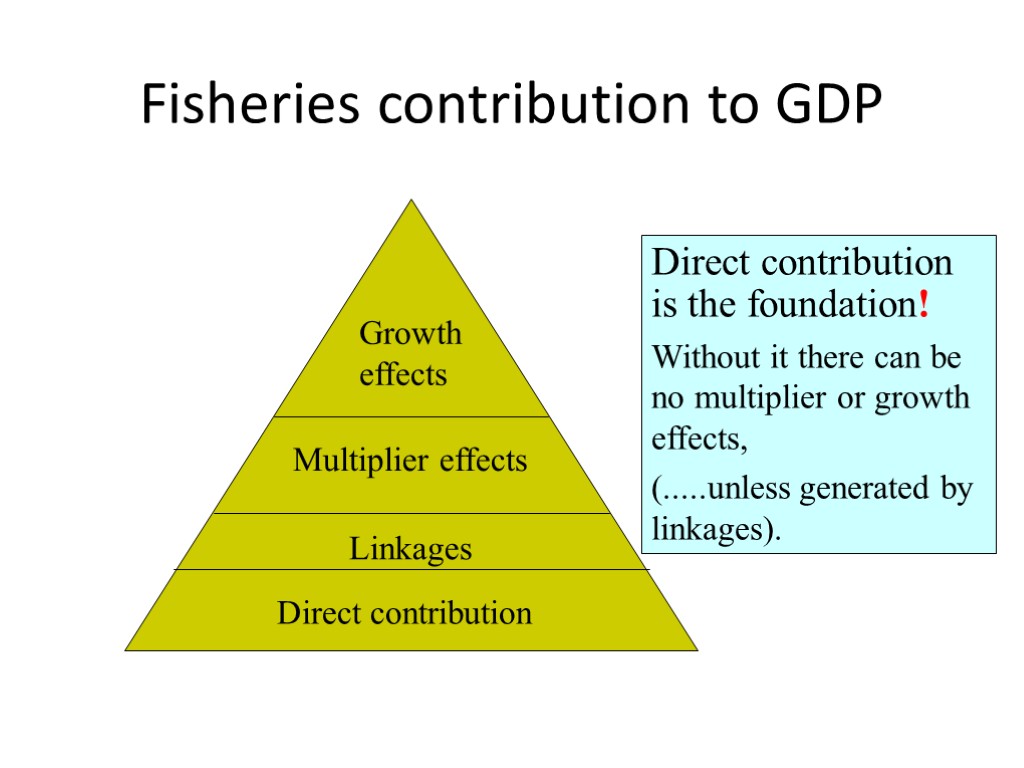 Fisheries contribution to GDP Direct contribution is the foundation! Without it there can be